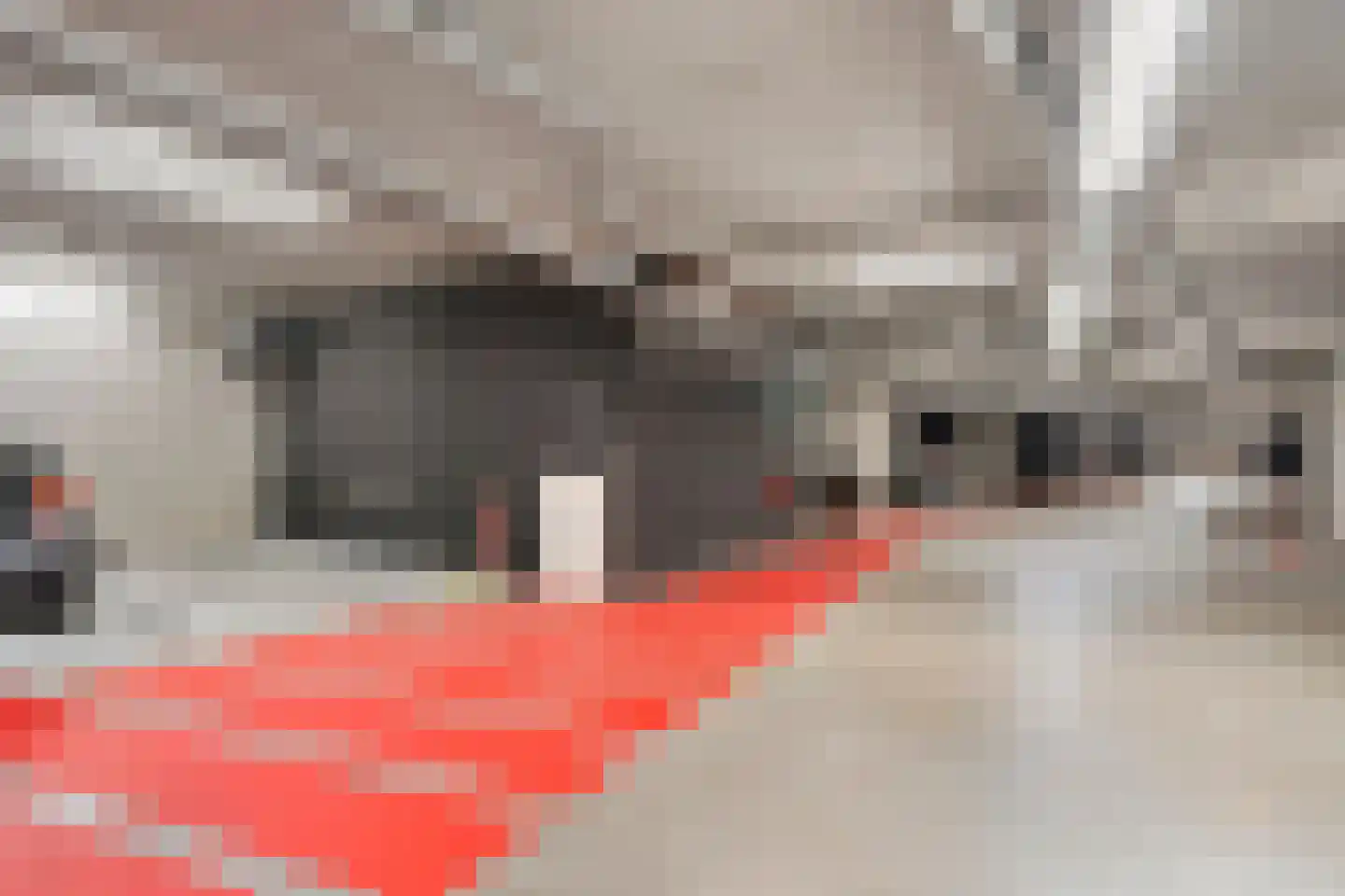 Trans 27 Arnhem thumbnail 26