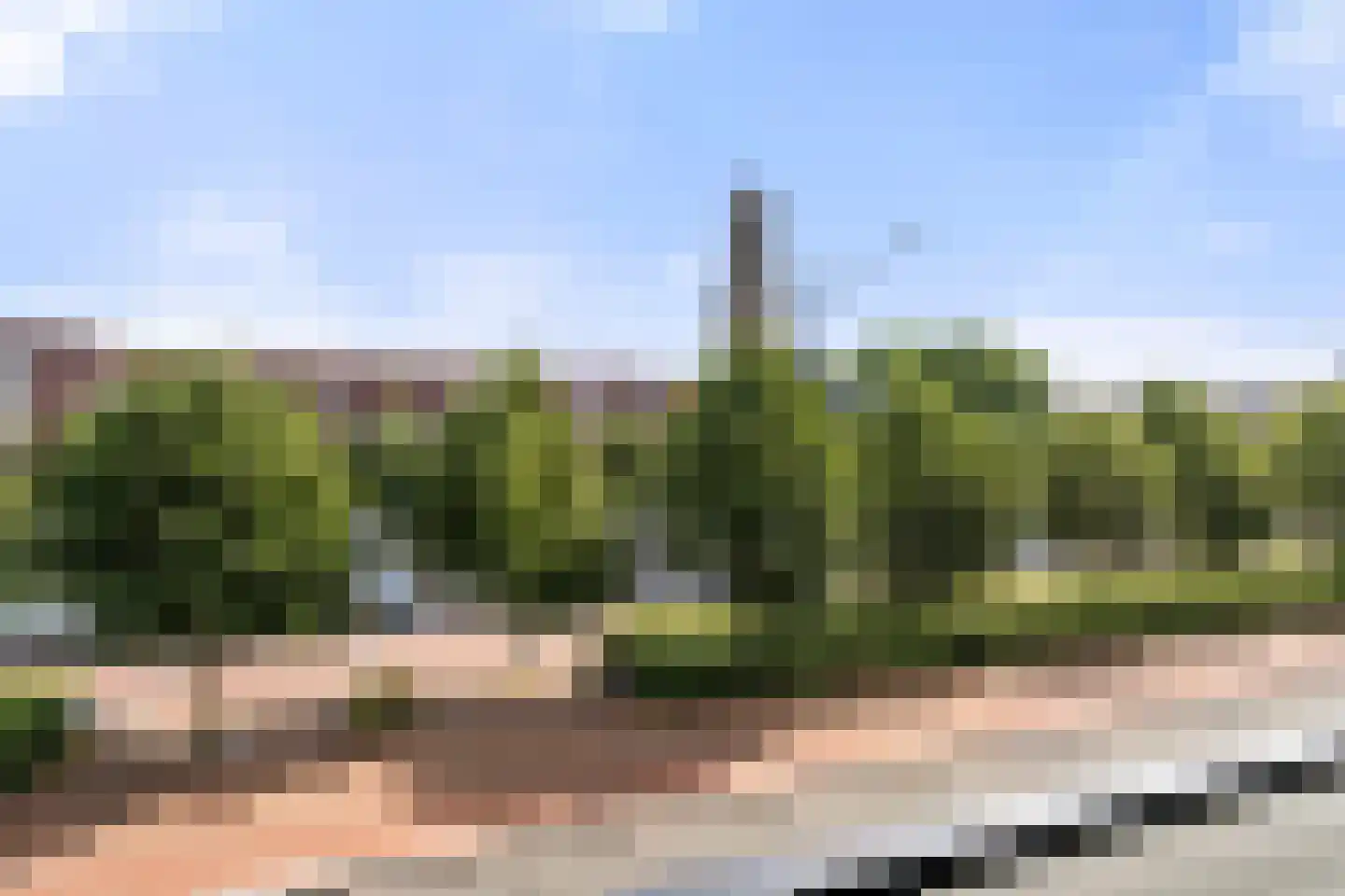 Trans 27 Arnhem thumbnail 8