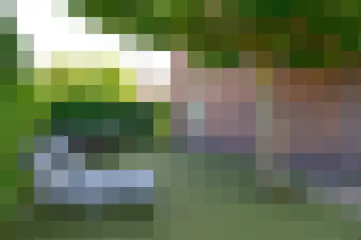 Transistorweg 2 Huizen thumbnail 11