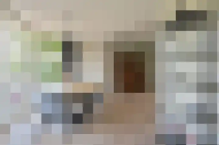 Transistorweg 2 Huizen thumbnail 21