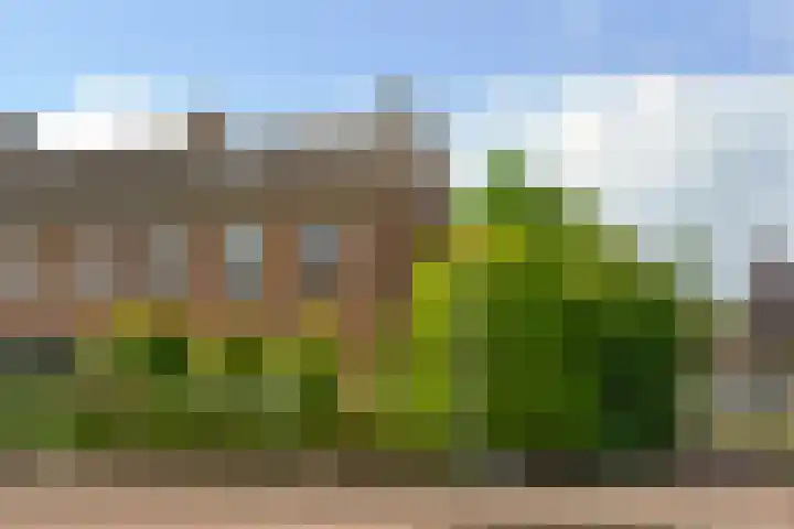 Transistorweg 2 Huizen thumbnail 4