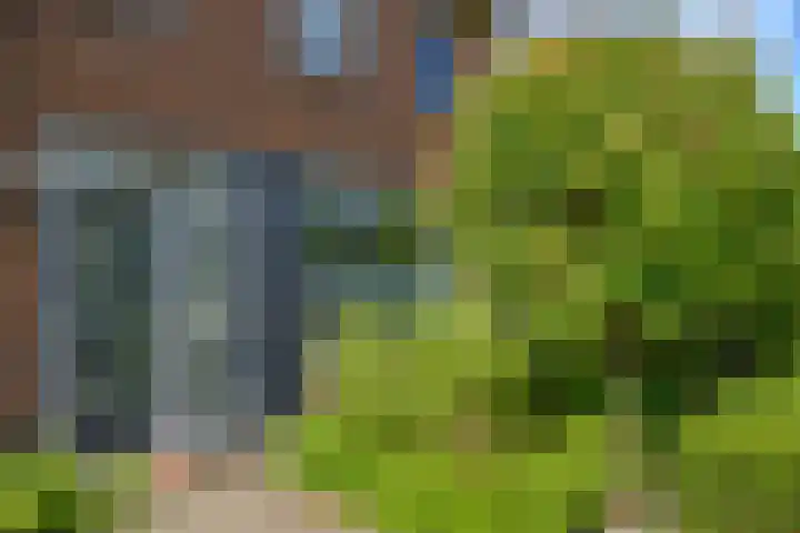 Transistorweg 2 Huizen thumbnail 5