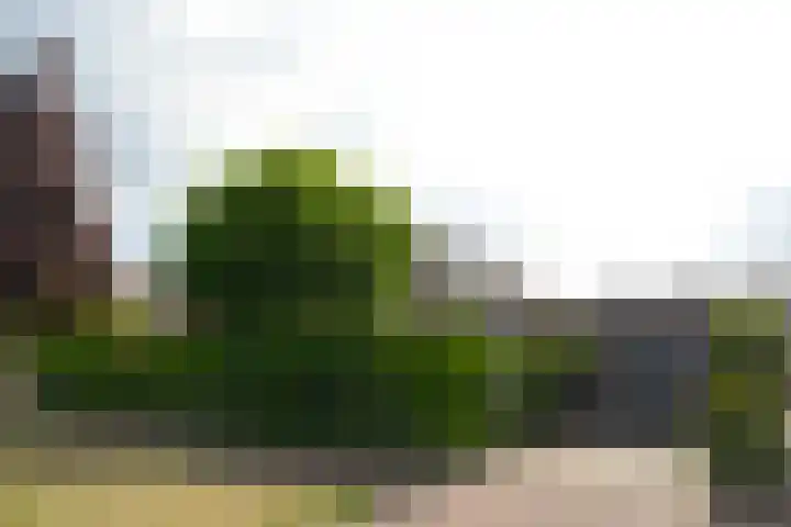 Transistorweg 2 Huizen thumbnail 6