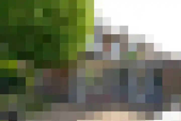 Transistorweg 2 Huizen thumbnail 8