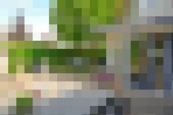 Transistorweg 2 Huizen thumbnail 9