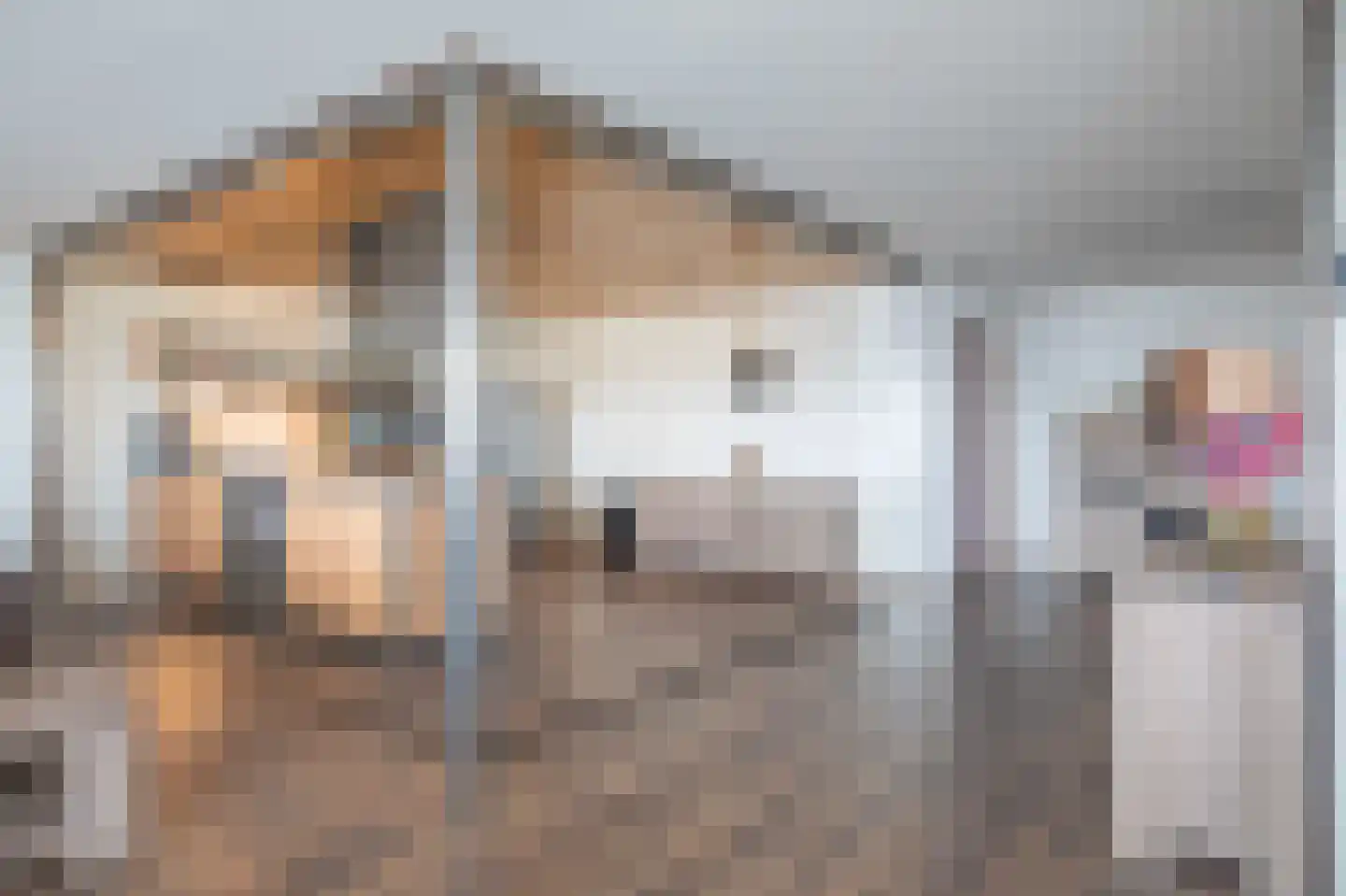 Transportweg 41 Veendam thumbnail 11