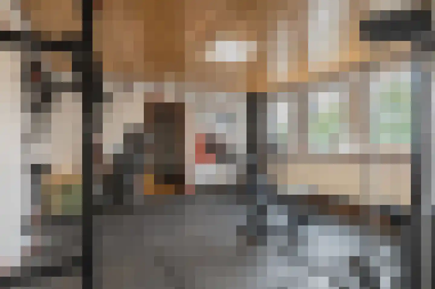 Transportweg 41 Veendam thumbnail 34