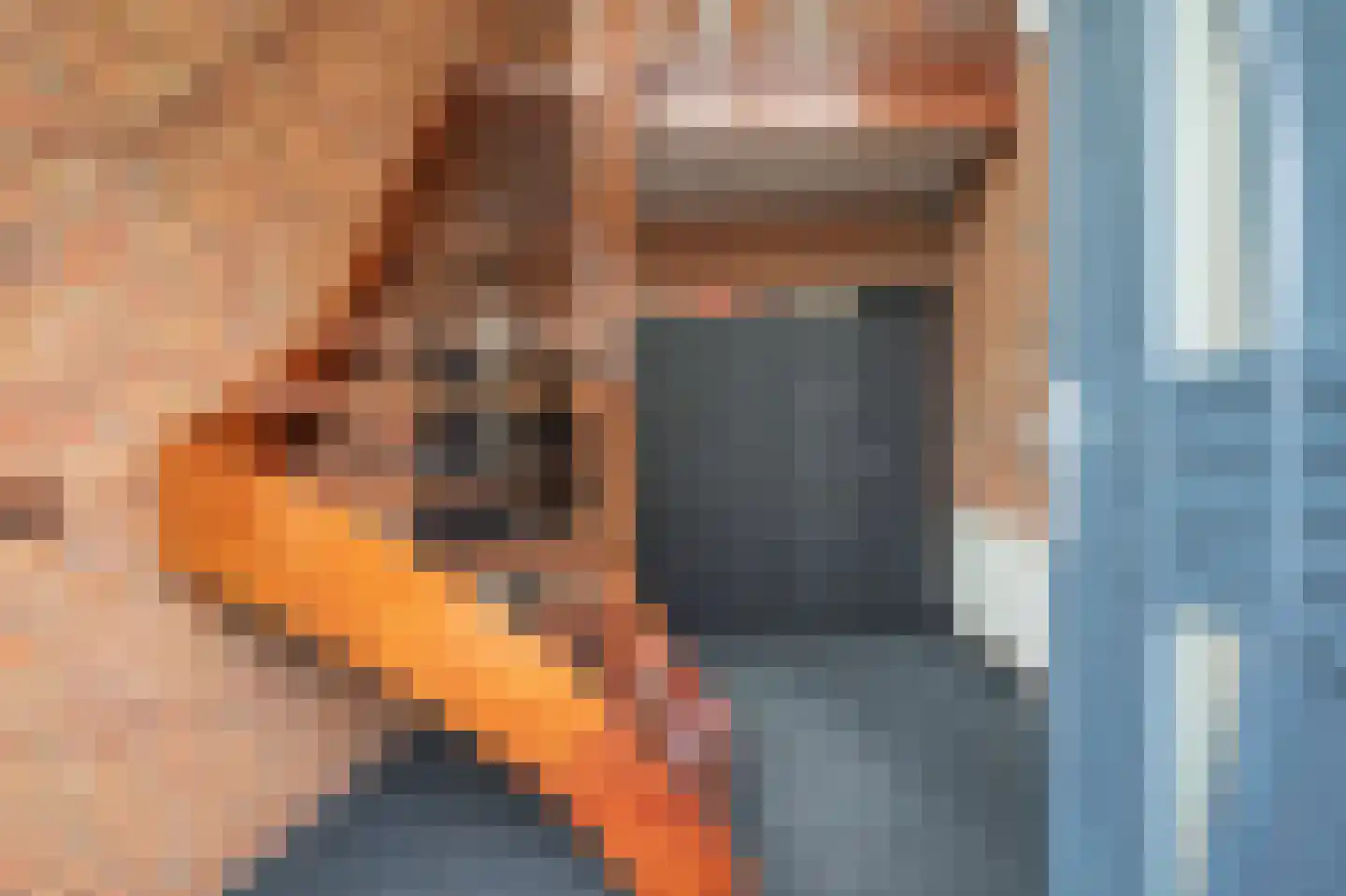 Transportweg 41 Veendam thumbnail 6