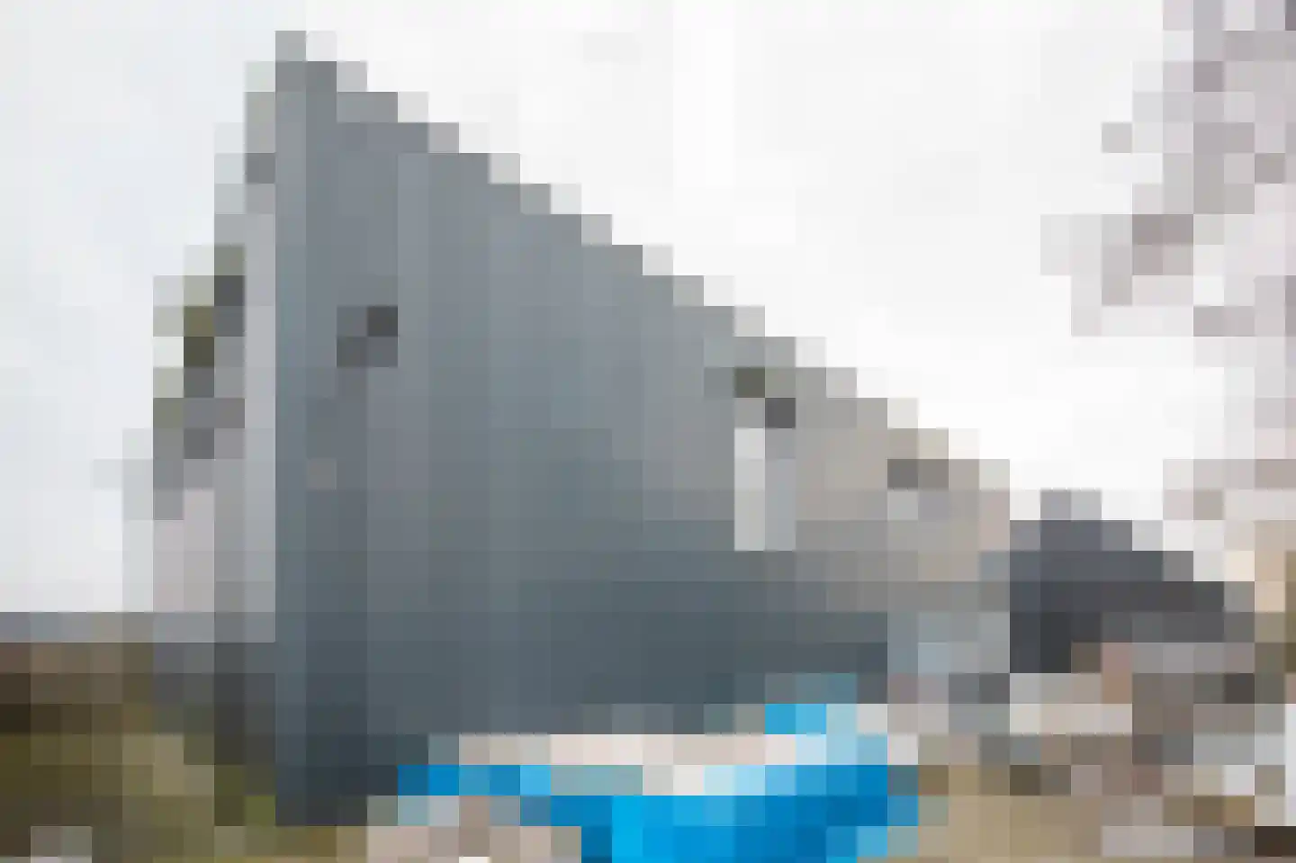 Transportweg 41 Veendam thumbnail 69
