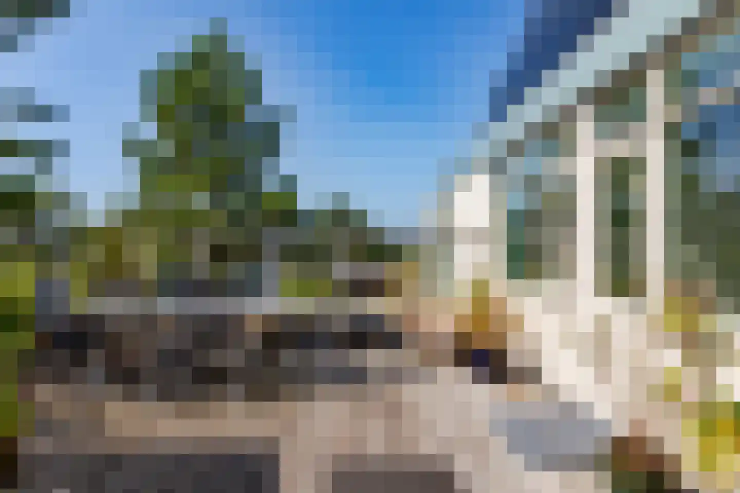 Transvaal 13 Bergen aan Zee thumbnail 18