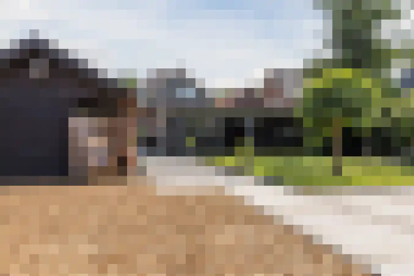 Transvaal 34 Sleeuwijk thumbnail 29