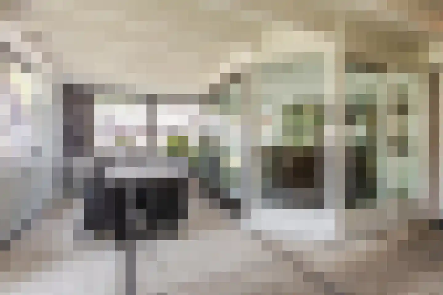 Transvaal 34 Sleeuwijk thumbnail 31
