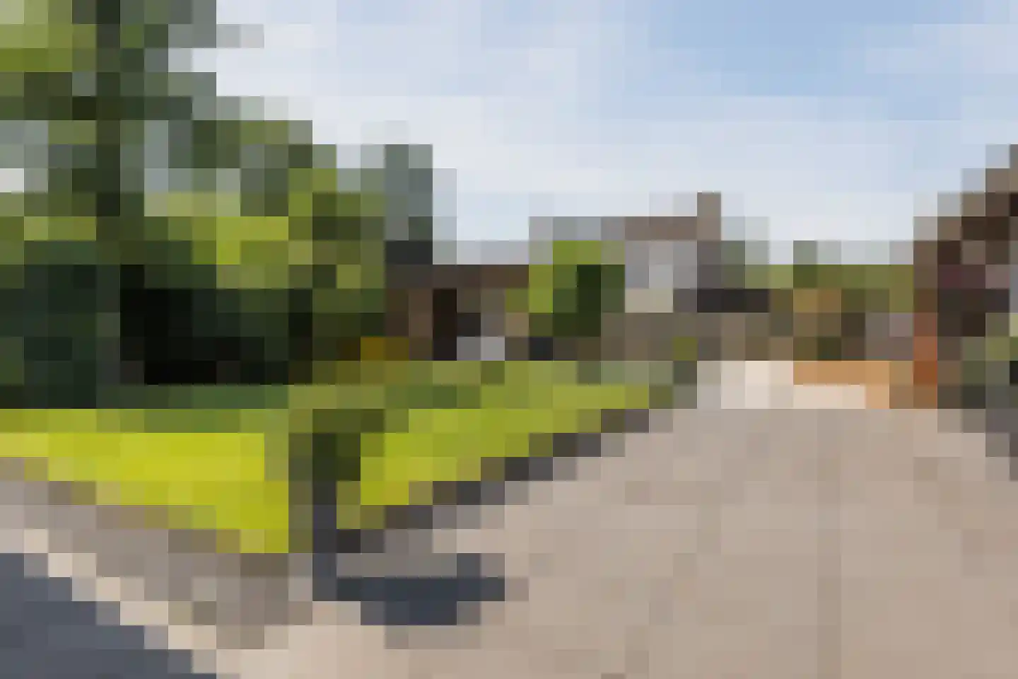 Transvaal 34 Sleeuwijk thumbnail 33