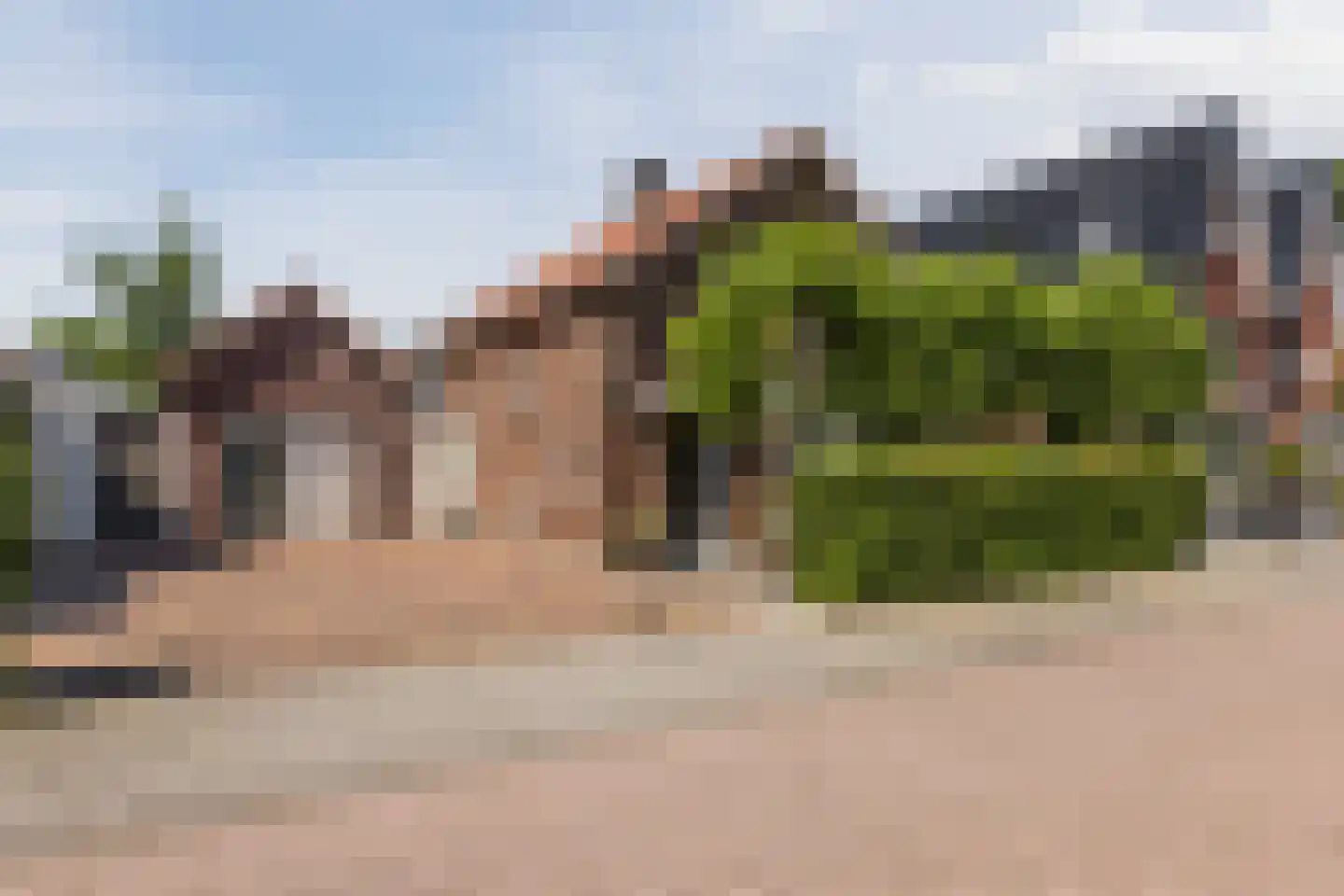 Transvaal 34 Sleeuwijk thumbnail 4