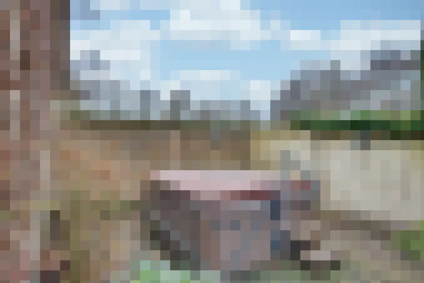 Transvaal 40 Sleeuwijk thumbnail 46