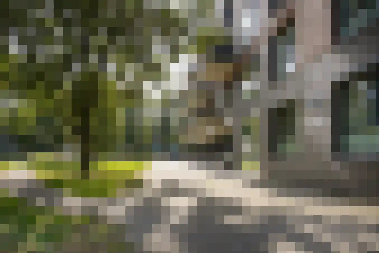 Transvaaldreef 15 Utrecht thumbnail 33