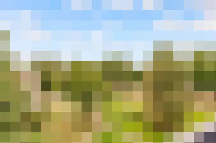 Transvaaldreef 29 Utrecht thumbnail 14