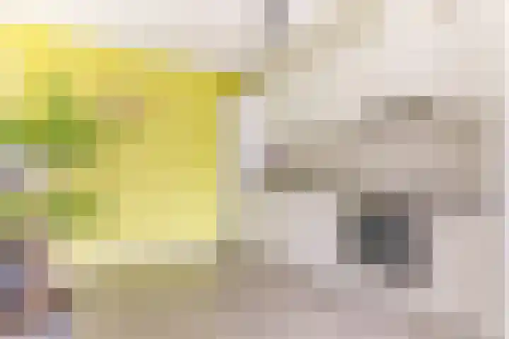Transvaaldreef 29 Utrecht thumbnail 17