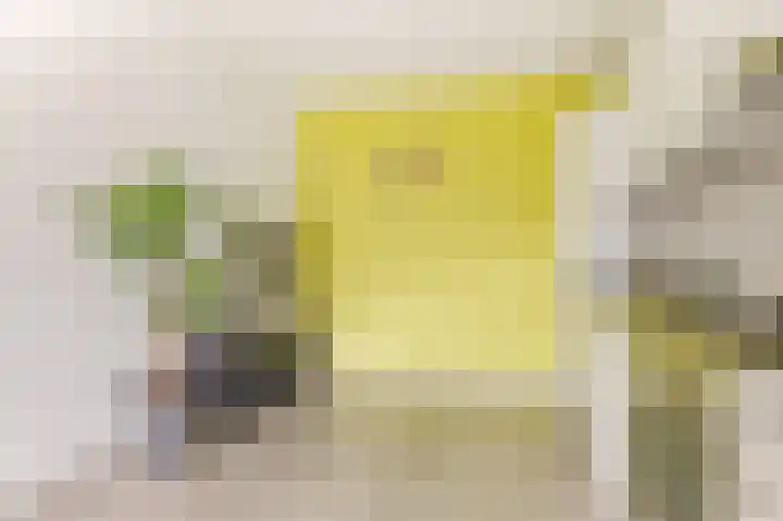 Transvaaldreef 29 Utrecht thumbnail 18