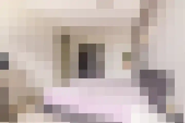 Transvaaldreef 29 Utrecht thumbnail 23