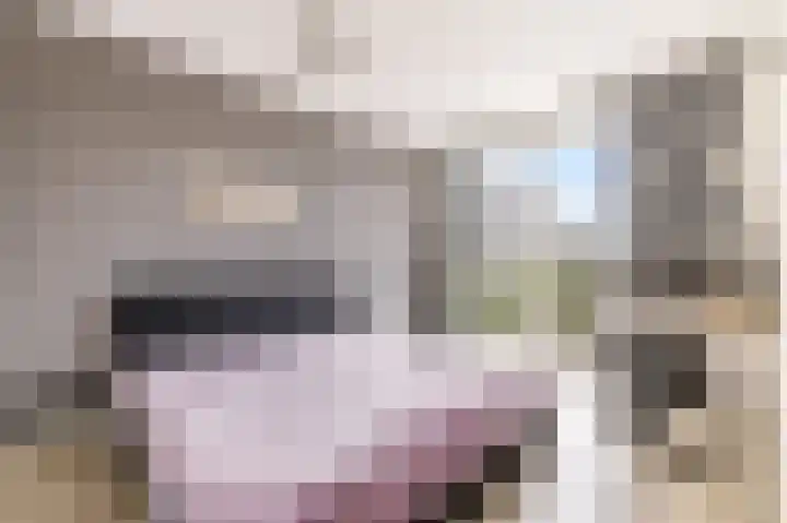 Transvaaldreef 29 Utrecht thumbnail 24