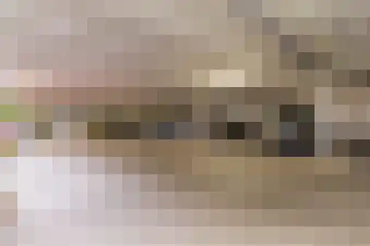 Transvaaldreef 29 Utrecht thumbnail 31