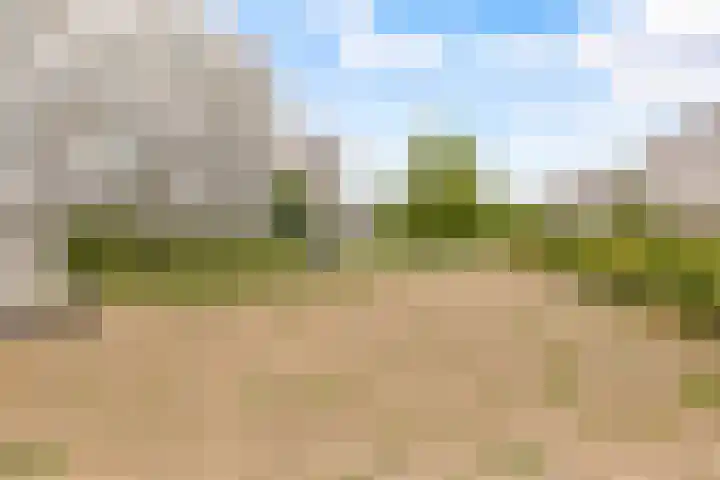 Transvaaldreef 29 Utrecht thumbnail 32