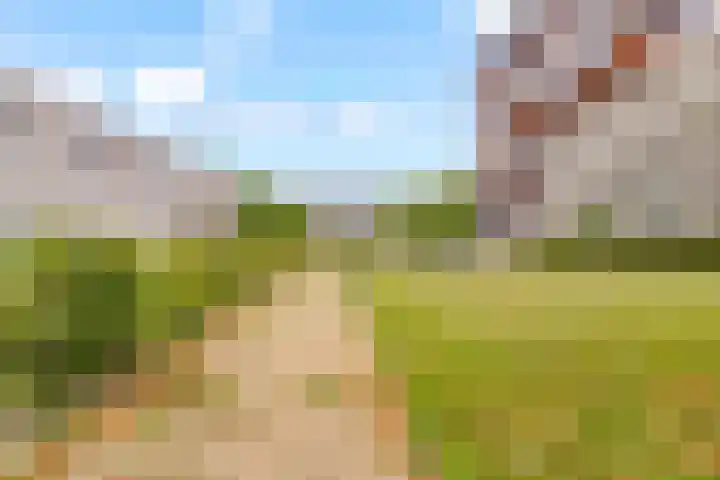 Transvaaldreef 29 Utrecht thumbnail 33
