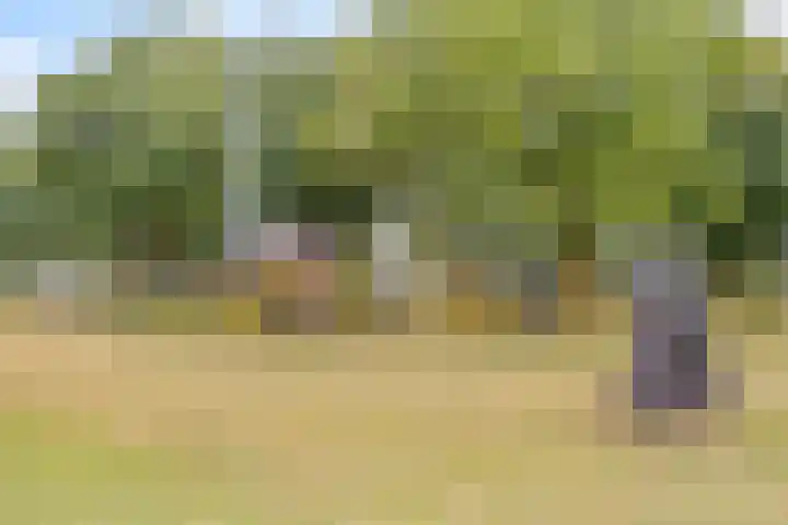 Transvaaldreef 29 Utrecht thumbnail 34