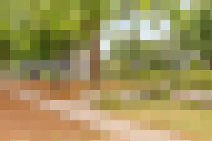 Transvaaldreef 29 Utrecht thumbnail 35