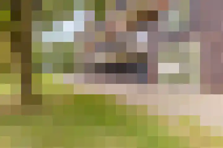 Transvaaldreef 29 Utrecht thumbnail 39