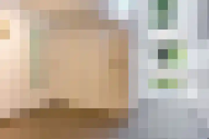 Transvaaldreef 29 Utrecht thumbnail 40