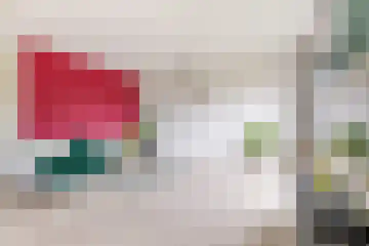 Transvaaldreef 29 Utrecht thumbnail 8