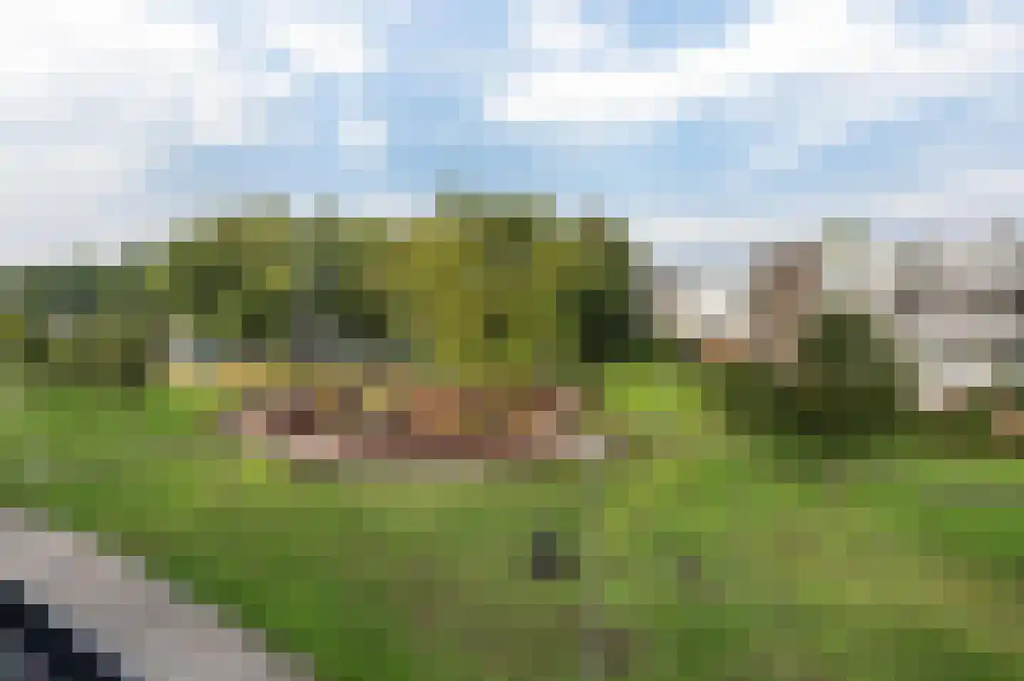 Transvaaldreef 57 Utrecht thumbnail 33