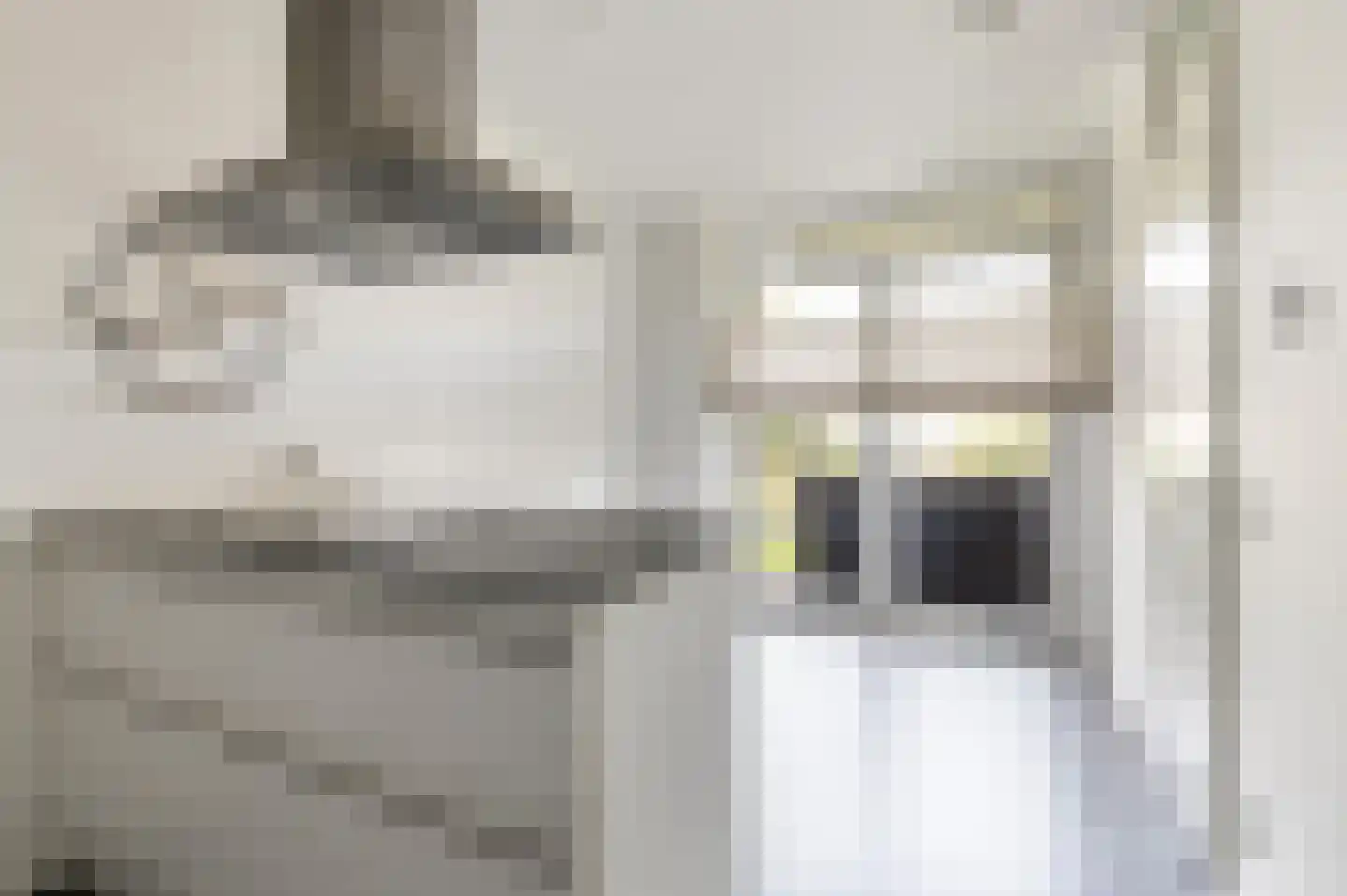 Transvaaldreef 57 Utrecht thumbnail 7