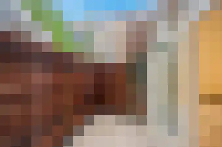 Transvaalkade 1 H Amsterdam thumbnail 14