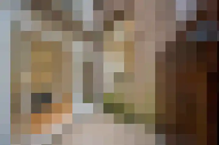 Transvaalkade 1 H Amsterdam thumbnail 15
