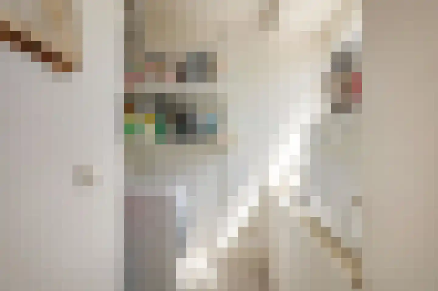 Transvaalkade 131 1 Amsterdam thumbnail 17