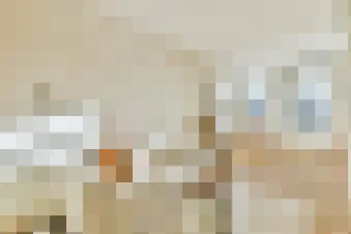 Transvaalkade 48 2 Amsterdam thumbnail 4