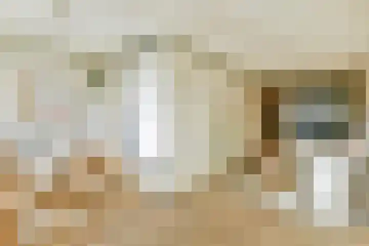 Transvaalkade 48 2 Amsterdam thumbnail 6