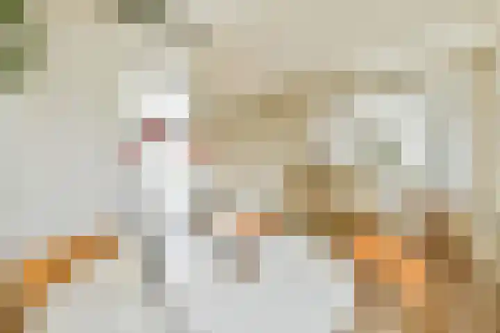 Transvaalkade 48 2 Amsterdam thumbnail 7