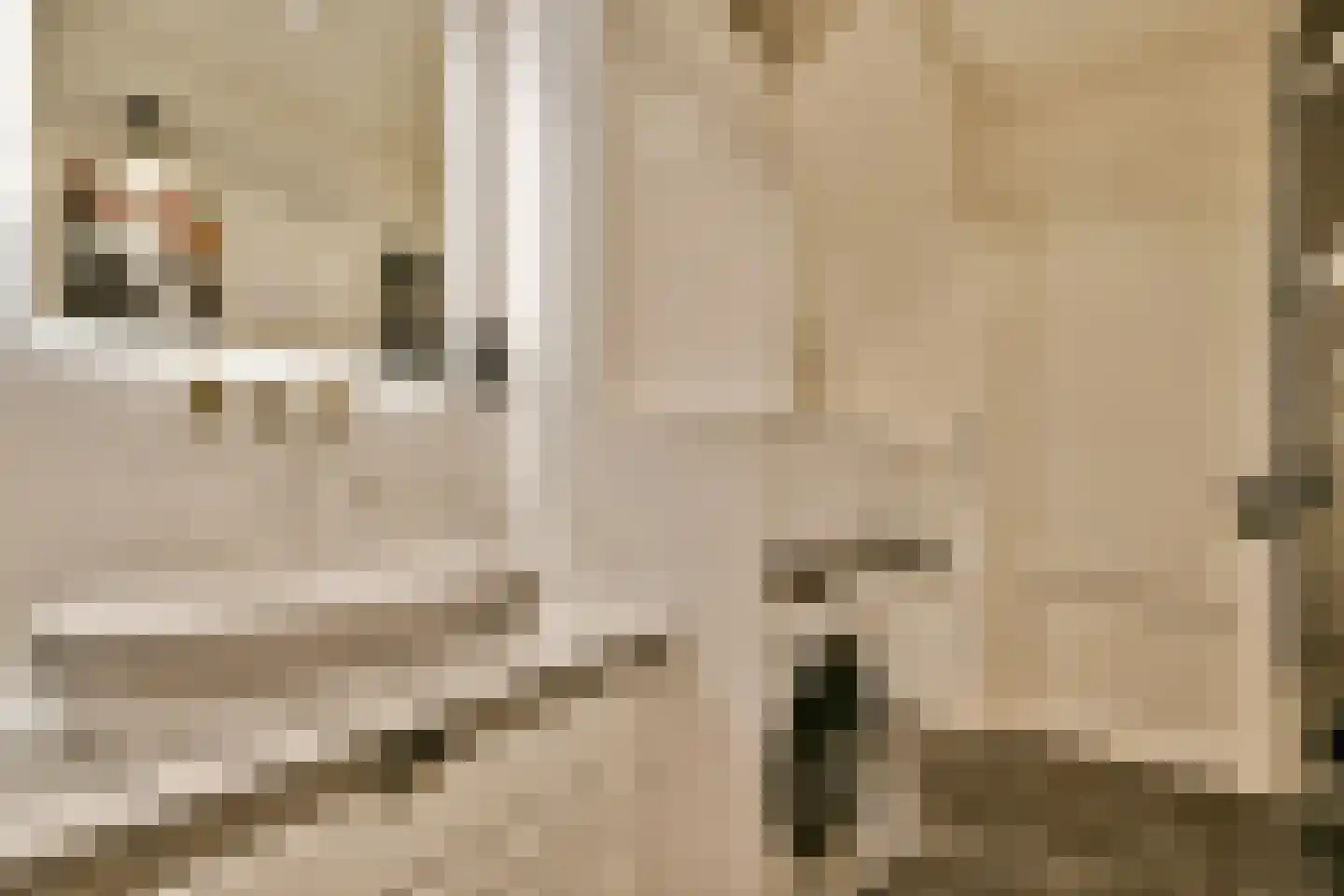 Transvaalkade 91 A Amsterdam thumbnail 11