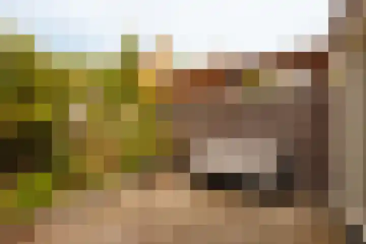Transvaalkade 92 B Amsterdam thumbnail 5