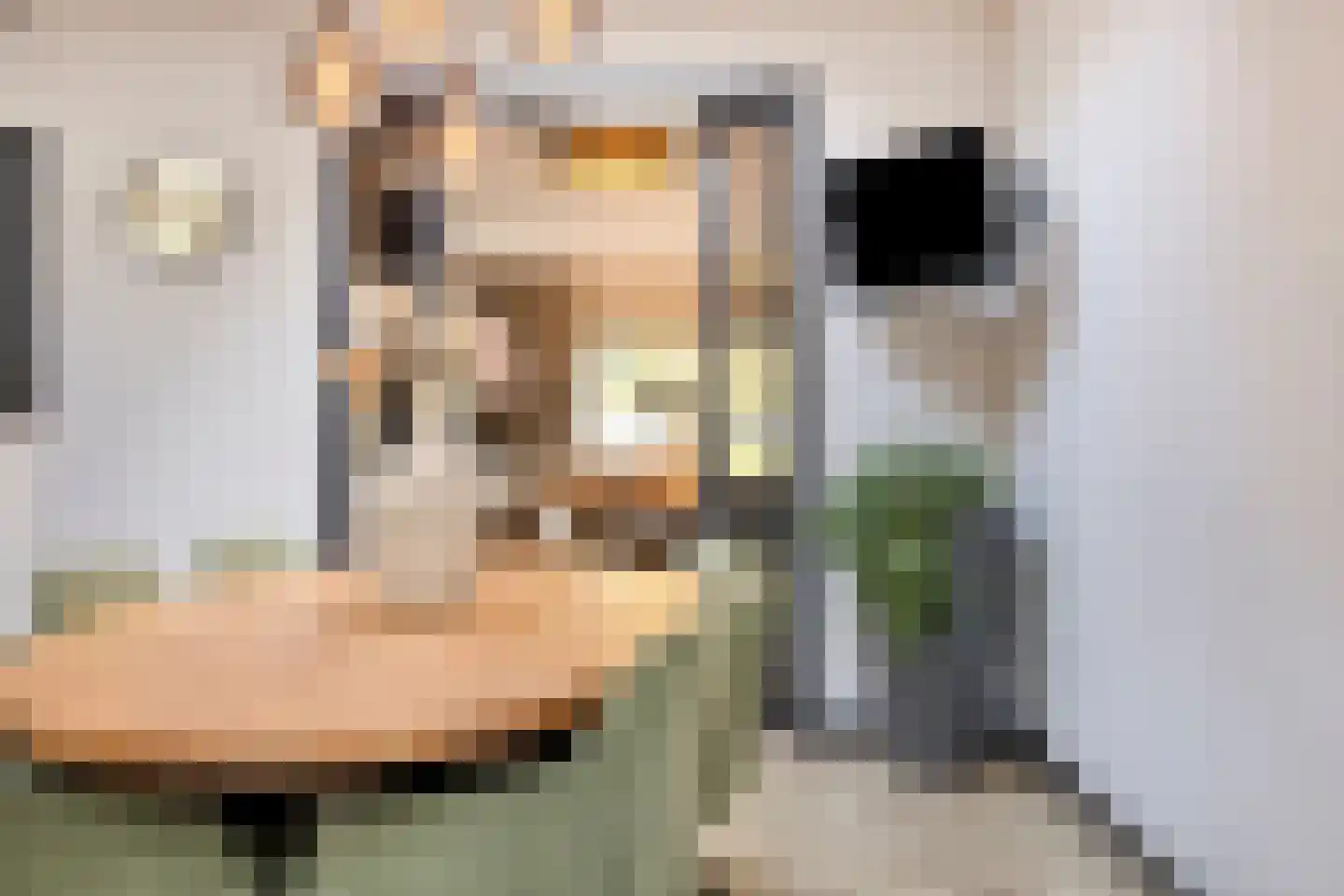 Transvaalplein 19 Tilburg thumbnail 13