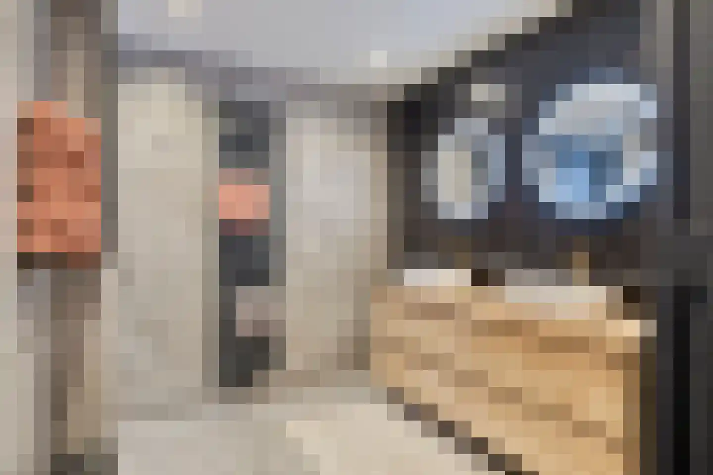 Transvaalplein 19 Tilburg thumbnail 19