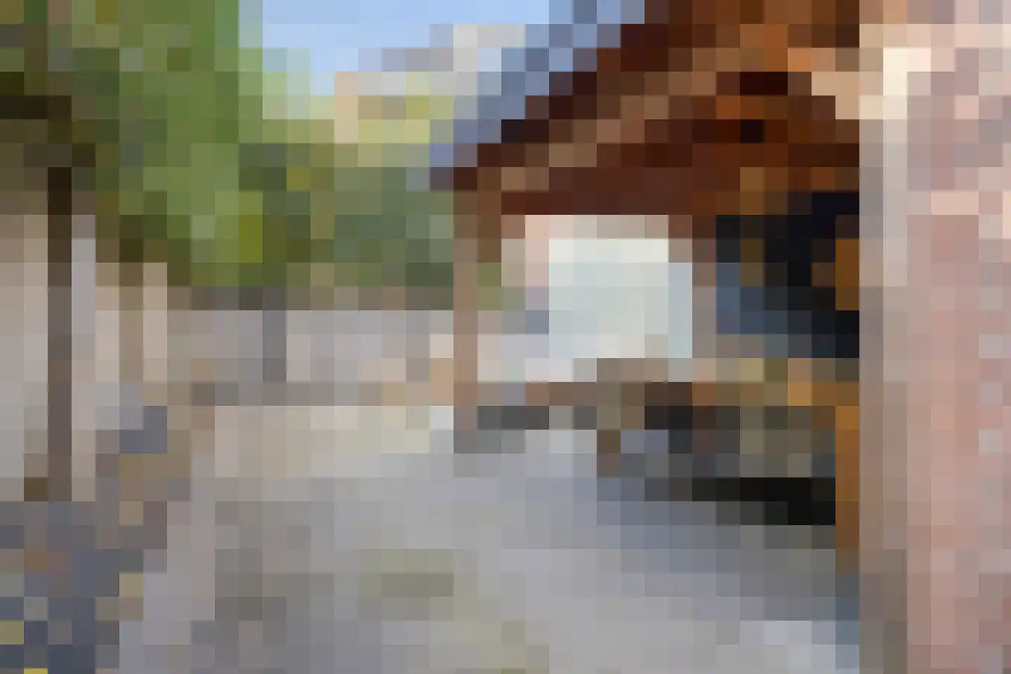 Transvaalplein 19 Tilburg thumbnail 39