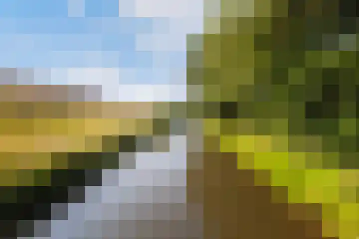 Transvaalstraat 10 Ridderkerk thumbnail 39