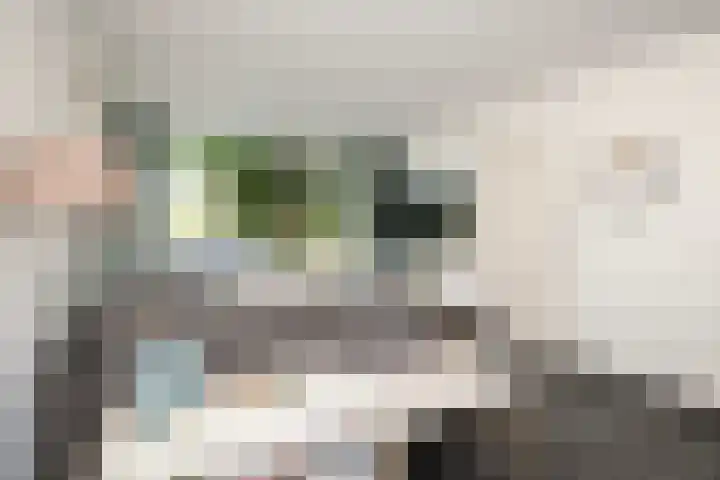Transvaalstraat 10 Ridderkerk thumbnail 4