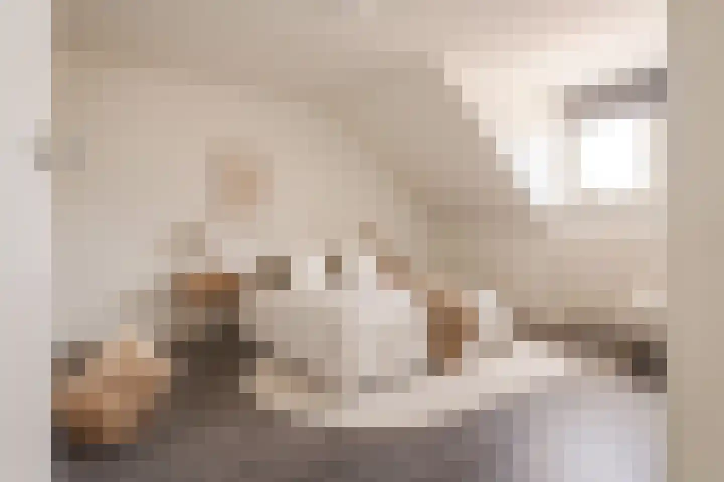 Transvaalstraat 11 Haarlem thumbnail 22