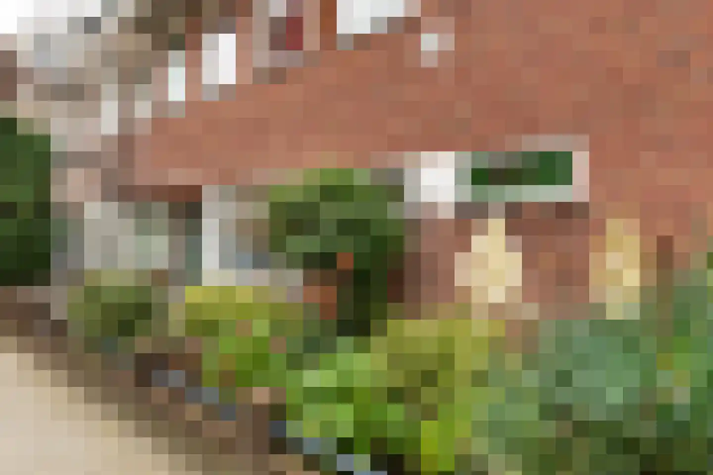 Transvaalstraat 22 Haarlem thumbnail 22